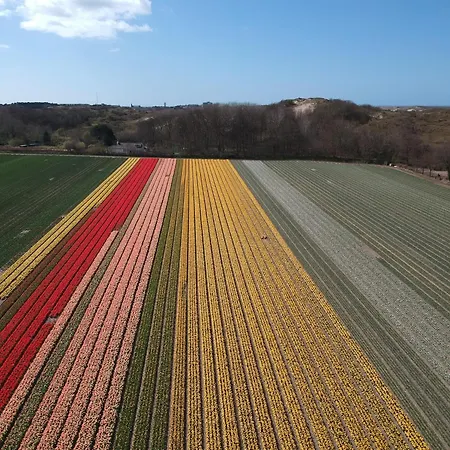 Semesterbostad In Egmond By The