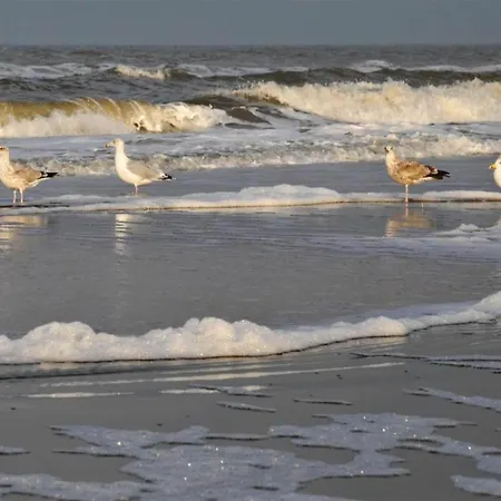 In Egmond By The Egmond aan Zee